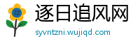 逐日追风网